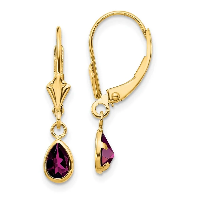 Curata 14k Yellow Gold Bezel Polished Leverback Rhodolite Earrings June 23x4mm